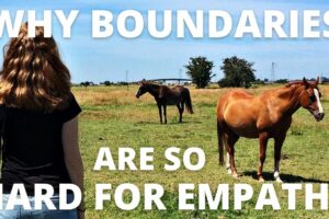 why boundaries are so hard for empaths,how to set boundaries,healthy boundaries,empath,being an empath,are you an empath,what is an empath,highly sensitive person,signs of an empath,signs you are an empath,how to know if you are an empath,signs you're an empath,equine assisted learning,equine facilitated learning,horse therapy,equine facilitated therapy,equine guided self discovery,carolyn creed,empath boundaries,setting boundaries