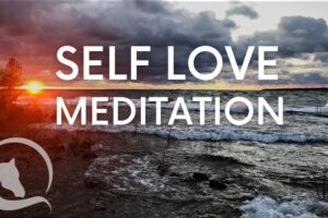 embrace self Love - guided meditation for empaths,guided meditation,embrace self love,self love meditation,empath meditation,self compassion,meditation for empaths,empath,being an empath,are you an empath,what is an empath,highly sensitive person,signs of an empath,signs you are an empath,how to know if you are an empath,signs you're an empath,equine assisted learning,equine facilitated learning,horse therapy,equine facilitated therapy, equine guided self discovery, carolyn creed,