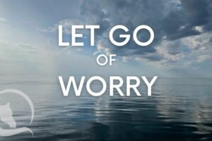 RELEASE Worry About the Future! Guided Meditation for Empaths - Be in the Present Moment, guided meditation for empaths, be in the present moment,guided meditation,mindfulness meditation,meditation guided,guided meditations,empath,being an empath,are you an empath,what is an empath,highly sensitive person,signs of an empath,signs you are an empath,how to know if you are an empath,signs you're an empath,equine assisted learning,equine facilitated learning,horse therapy,equine facilitated therapy, equine guided self discovery, carolyn creed,