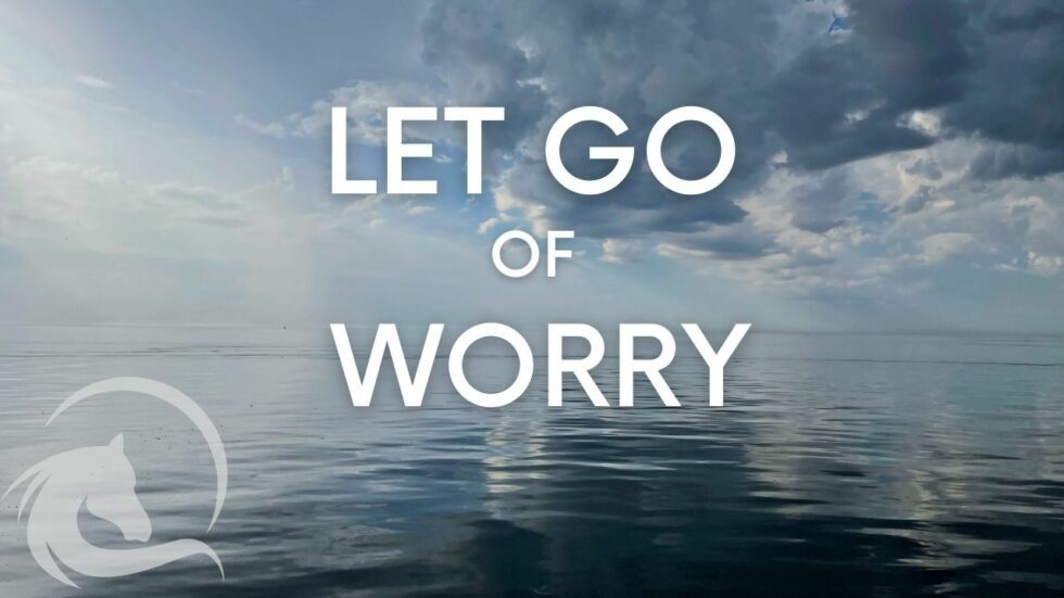 RELEASE Worry About the Future! Guided Meditation for Empaths - Be in the Present Moment, guided meditation for empaths, be in the present moment,guided meditation,mindfulness meditation,meditation guided,guided meditations,empath,being an empath,are you an empath,what is an empath,highly sensitive person,signs of an empath,signs you are an empath,how to know if you are an empath,signs you're an empath,equine assisted learning,equine facilitated learning,horse therapy,equine facilitated therapy, equine guided self discovery, carolyn creed,