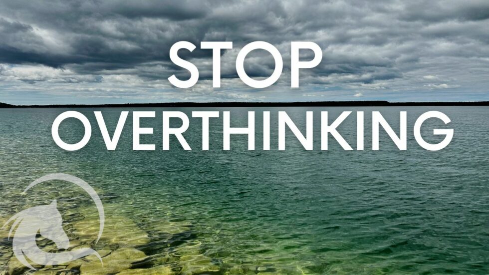 Get Unstuck and stop procrastinating with this guided mindfulness meditation for empaths,get unstuck,stop procrastinating,guided mindfulness meditation,being an empath,are you an empath,signs of an empath,signs you are an empath,how to know if you are an empath,signs you're an empath,equine assisted learning,equine facilitated learning,horse therapy,equine facilitated therapy,carolyn creed